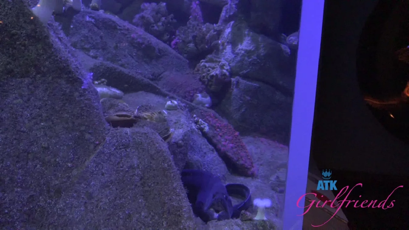 ATKGirlfriends Summer Renee Norcal 5 XXX